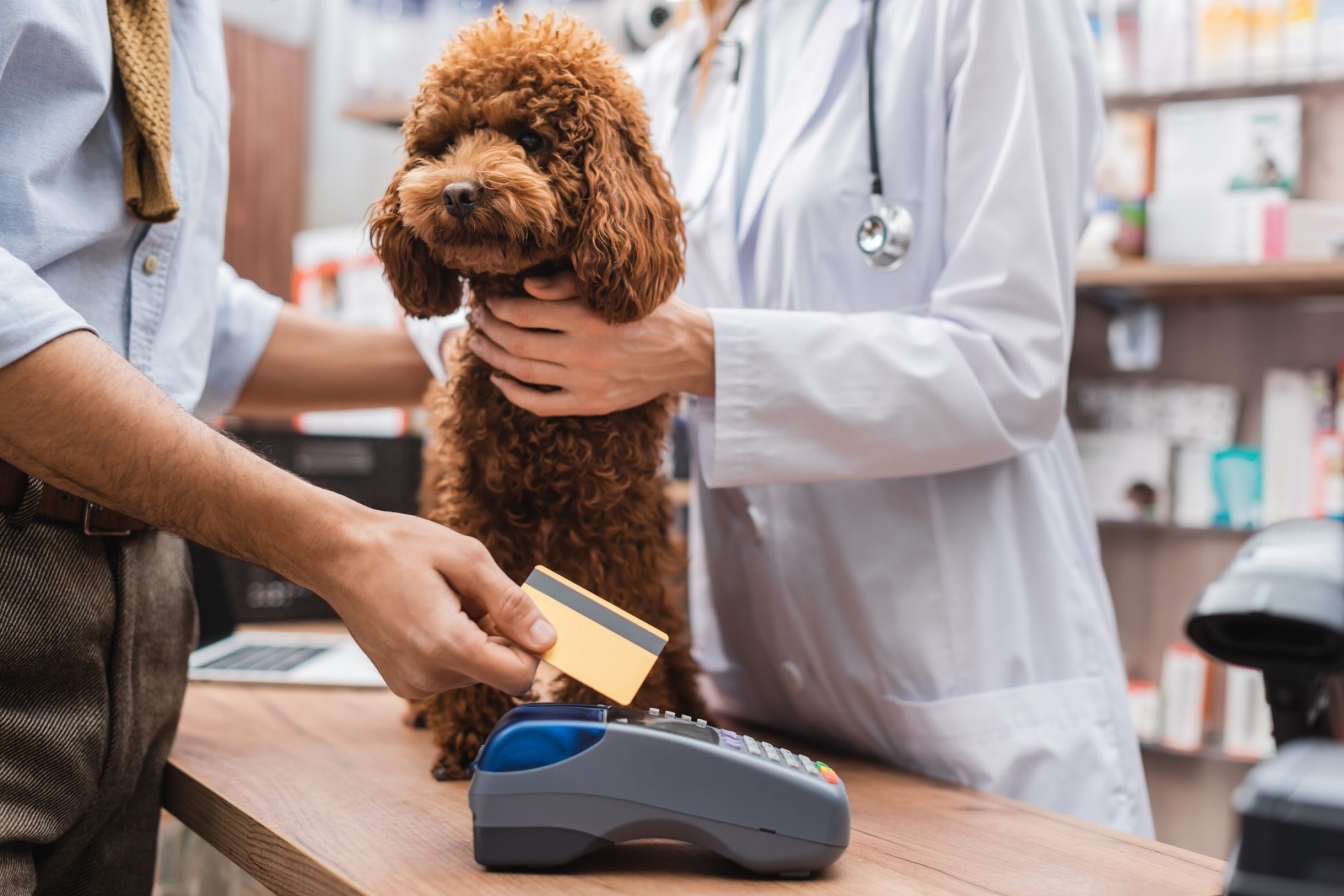 Ein Hund sitzt beim Tierarzt. Das Herrchen zahlt per Kreditkarte.