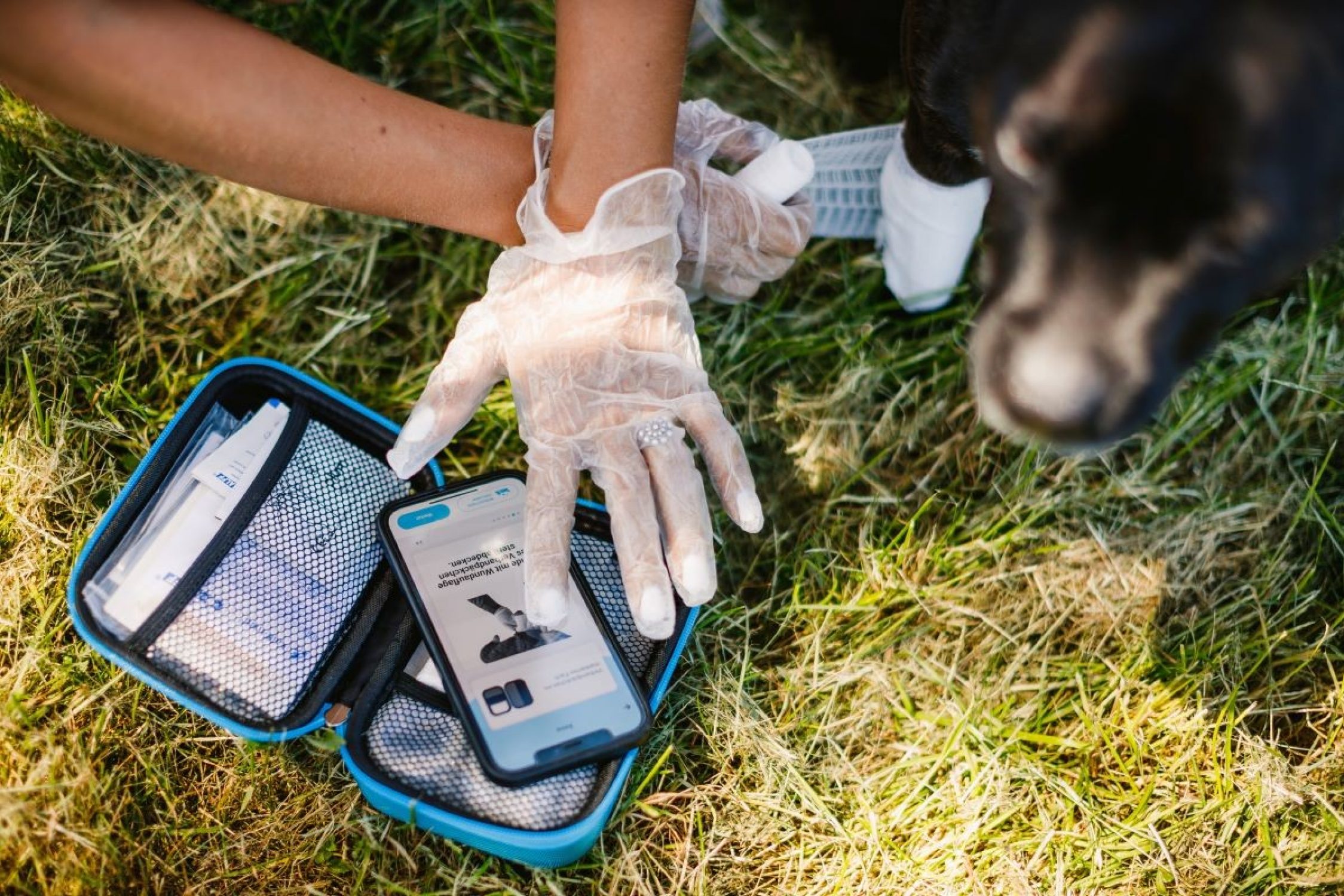 Hund wird optimal bei einer Verletzung mit Pocdoc versorgt. 