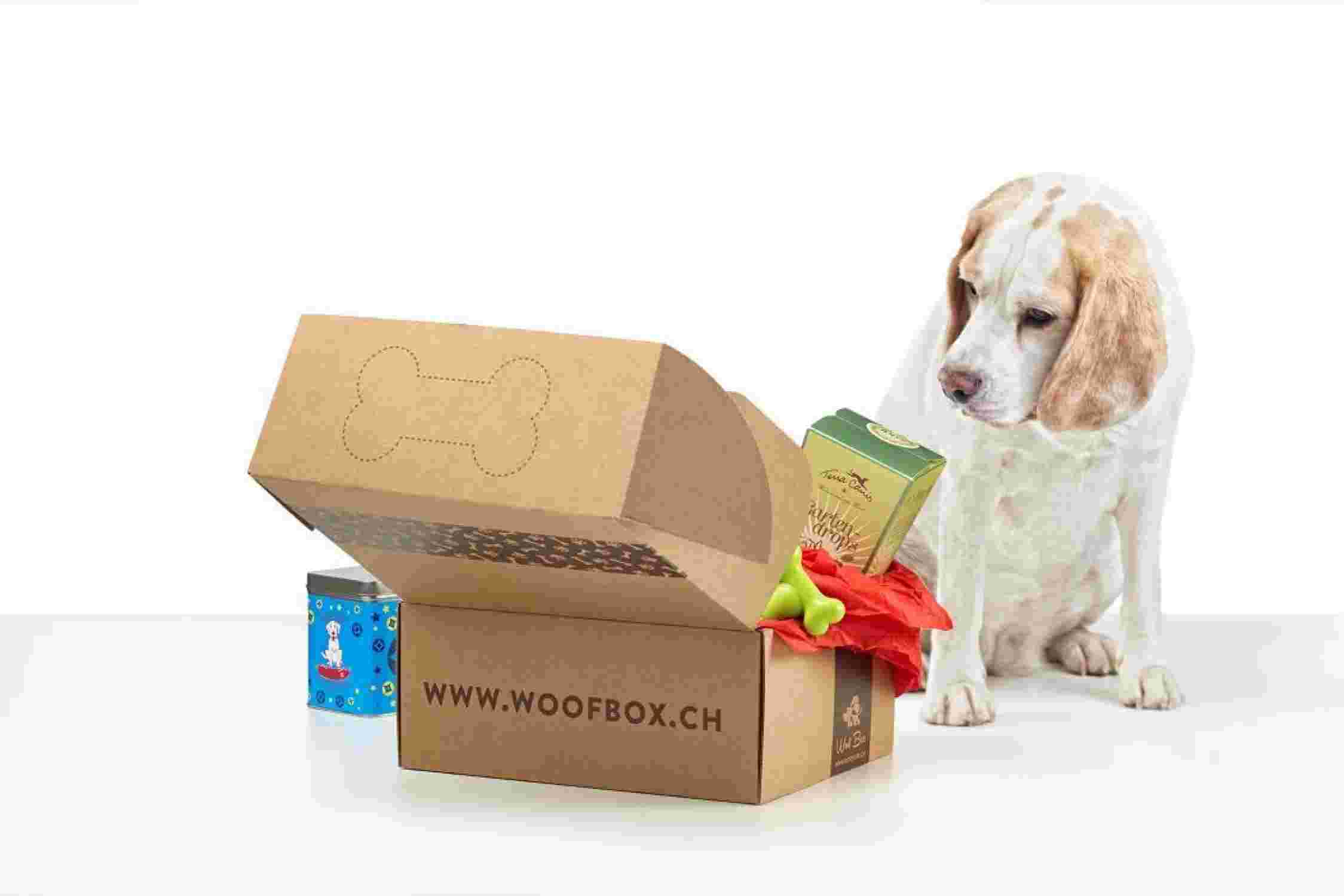 Woofbox avec chien