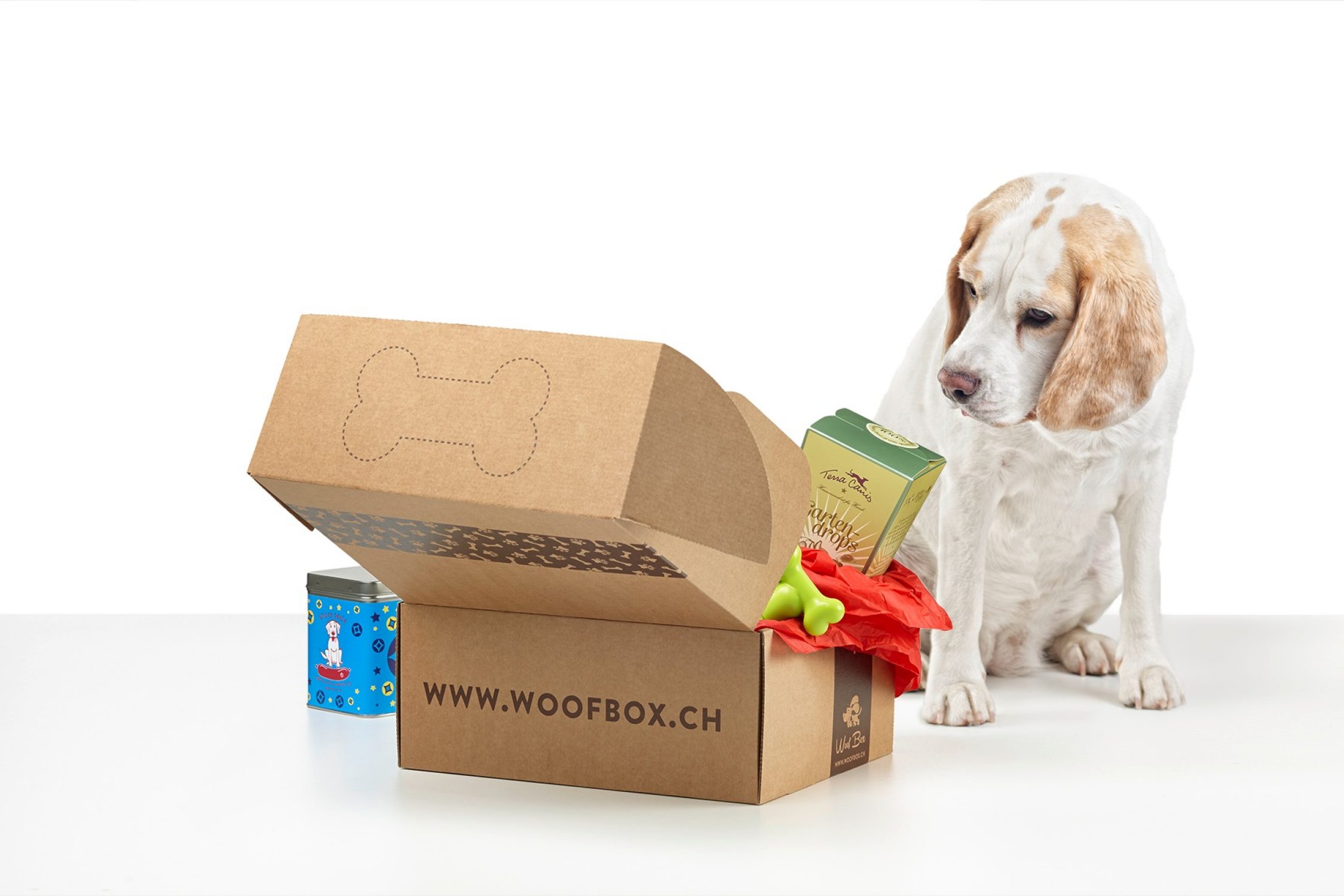 Woofbox avec chien